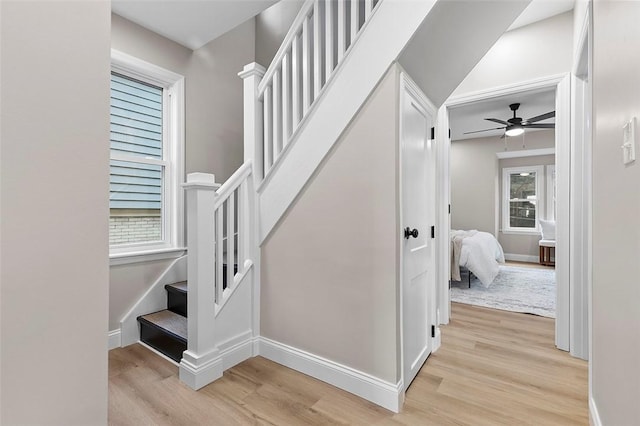 241 S Starr Ave, Avalon, PA 15202 - stairway with wood finished floors and ceiling fan