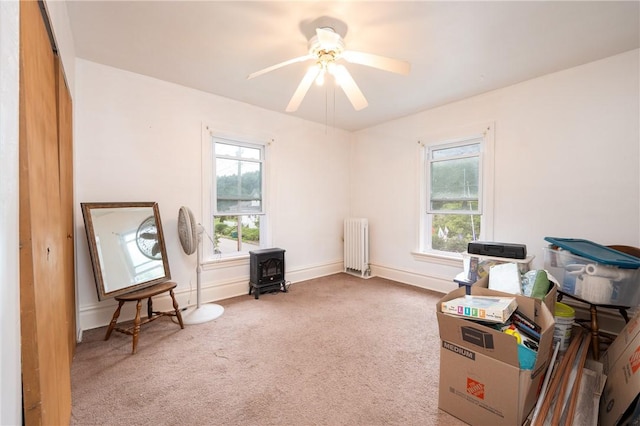 701 E 1st Ave, Derry Boro, PA 15627 - misc room featuring radiator heating unit, a wood stove, plenty of natural light, and carpet floors