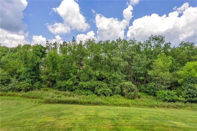 113 Middleground Pl, Cranberry Twp, PA 16066 - photo 10