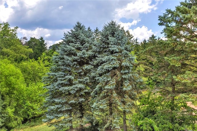 113 Middleground Pl, Cranberry Twp, PA 16066 - photo 41