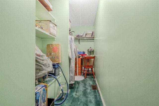 4044 Tuxey Ave, Brentwood, PA 15227 - spacious closet featuring carpet