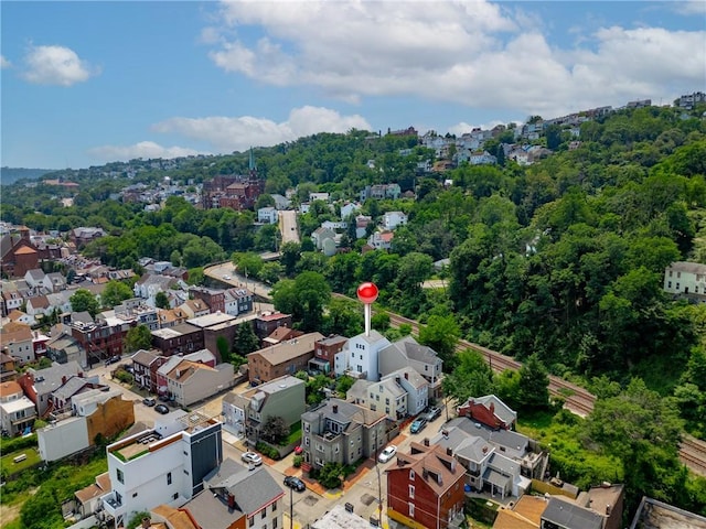 1109 Mary Ann, South Side, PA 15203 - drone / aerial view