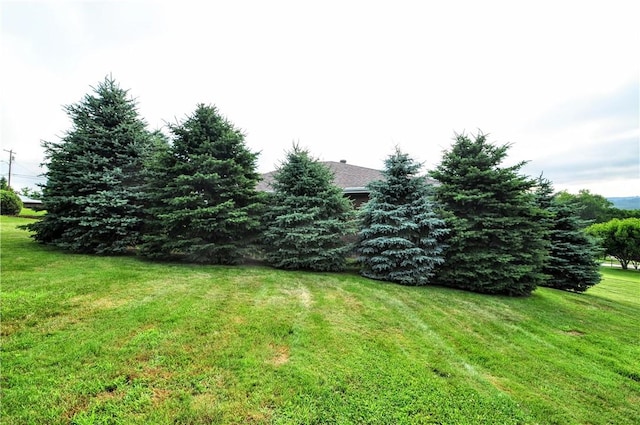 2204 Walch St, Carroll Twp, PA 15063 - photo 31