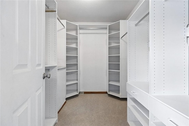 109 Hamilton Ct, Economy, PA 15005 - walk in closet featuring carpet floors