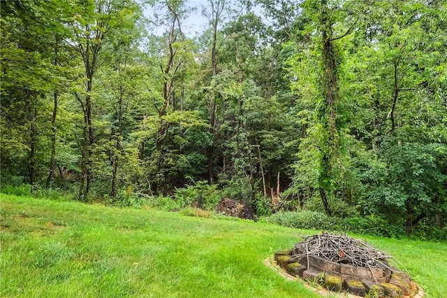 109 Hamilton Ct, Economy, PA 15005 - view of yard featuring an outdoor fire pit and a view of trees