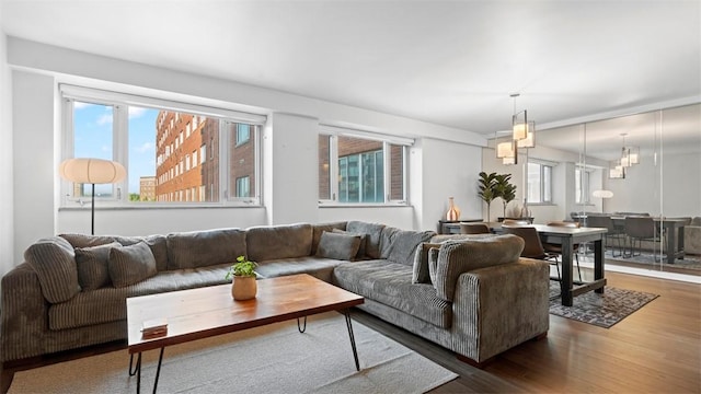 128 N Craig St Unit 505, Oakland, PA 15213 - living area featuring dark wood finished floors