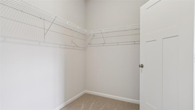 163 Smith Ln, Chippewa Twp, PA 15010 - walk in closet with carpet flooring