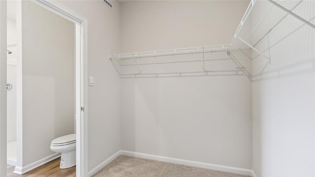 163 Smith Ln, Chippewa Twp, PA 15010 - view of walk in closet