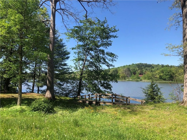 152 William Penn Trl, Wharton Twp, PA 15470 - photo 41