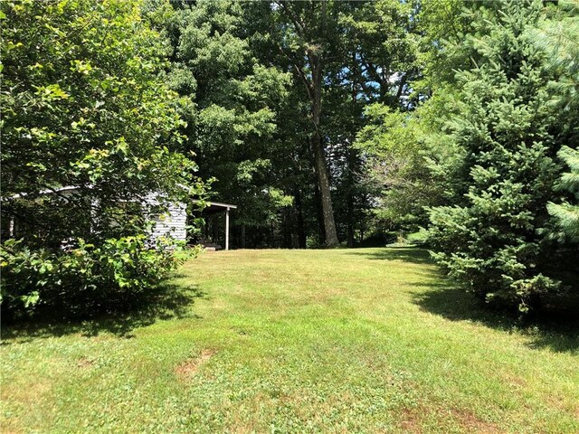 152 William Penn Trl, Wharton Twp, PA 15470 - photo 43