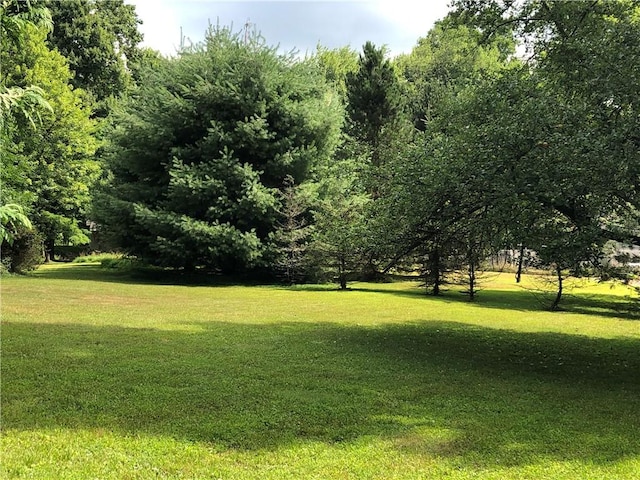 152 William Penn Trl, Wharton Twp, PA 15470 - photo 45