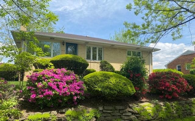 465 Chadwick St, Sewickley, PA 15143 - view of front of home with a chimney and brick siding