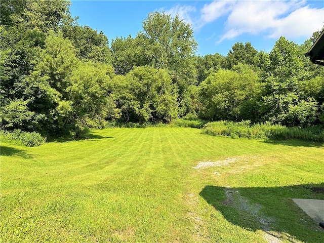 1747 Galilee Rd, North Beaver Twp, PA 16157 - photo 4