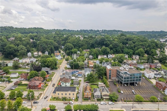 408 Lydia St, Carnegie, PA 15106 - aerial view of residential area
