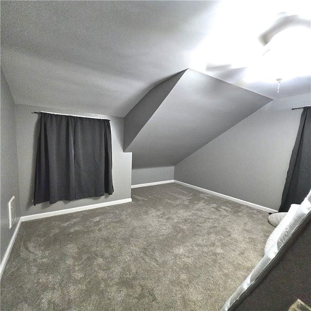 76 Foch Cir, Nemacolin, PA 15351 - bonus room featuring carpet floors and lofted ceiling