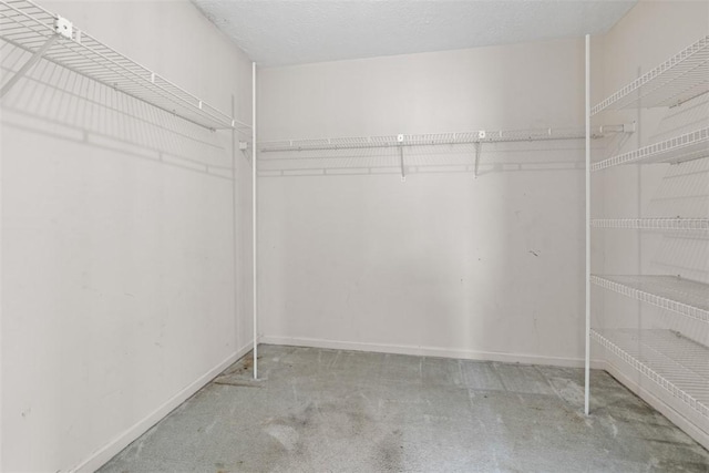 1445 Bristol Dr, South Park, PA 15129 - walk in closet with carpet flooring