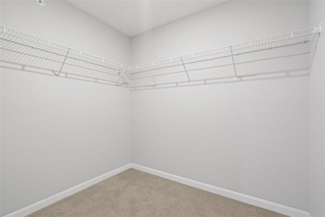 209 Lockheed Dr, Moon/Crescent Twp, PA 15108 - photo 26