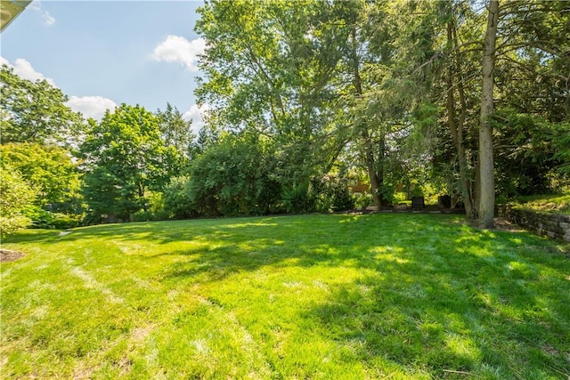 2633 Cedarvue Dr, Saint Clair, PA 15241 - view of green lawn