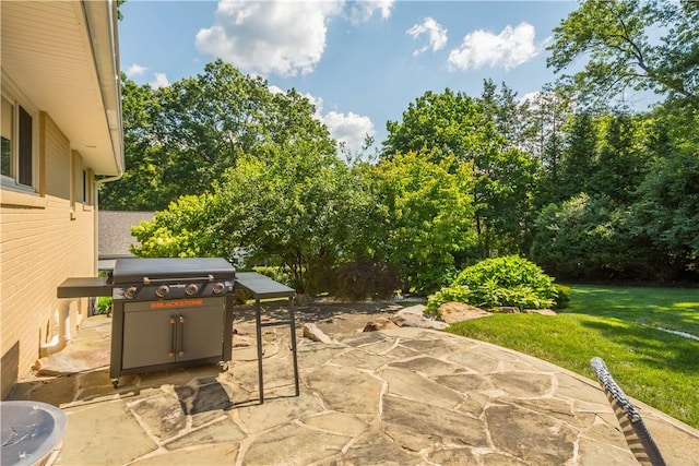 2633 Cedarvue Dr, Saint Clair, PA 15241 - view of patio with area for grilling