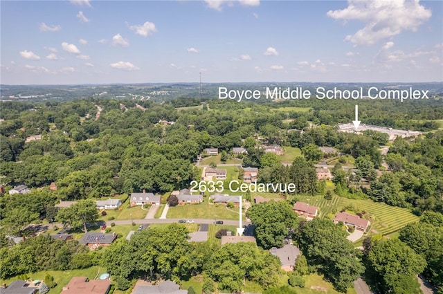 2633 Cedarvue Dr, Saint Clair, PA 15241 - aerial view