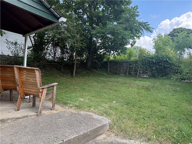 240 2nd Ave, Sharon, PA 16146 - view of grassy yard