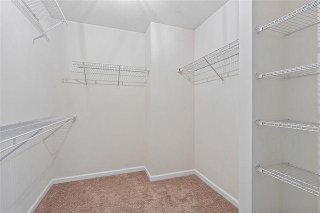 1004 Pointe View Dr, Adams Twp, PA 16046 - walk in closet with carpet
