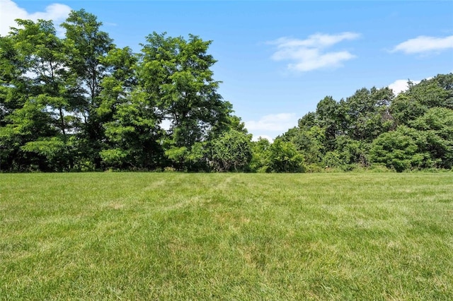 1004 Pointe View Dr, Adams Twp, PA 16046 - view of yard