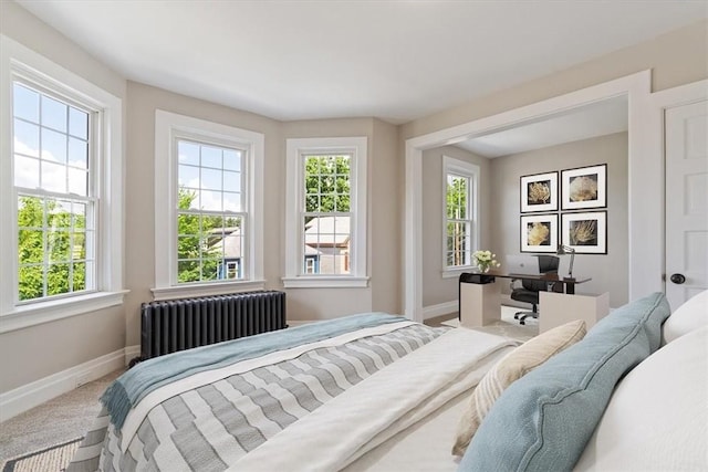 248 Berringer Pl, Ben Avon, PA 15202 - carpeted bedroom with radiator and multiple windows