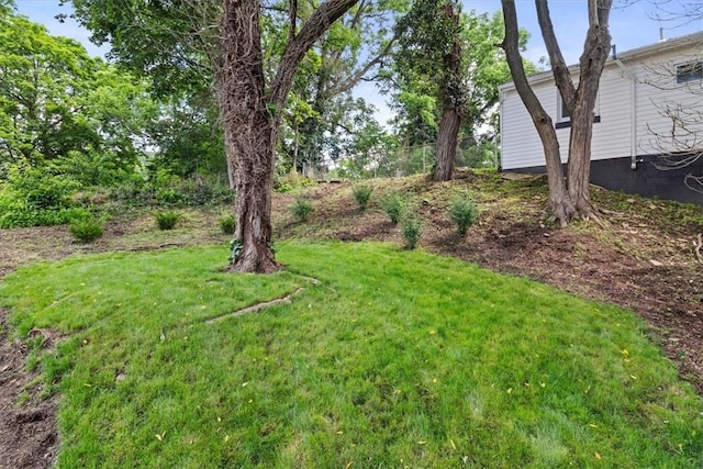 248 Berringer Pl, Ben Avon, PA 15202 - view of green lawn
