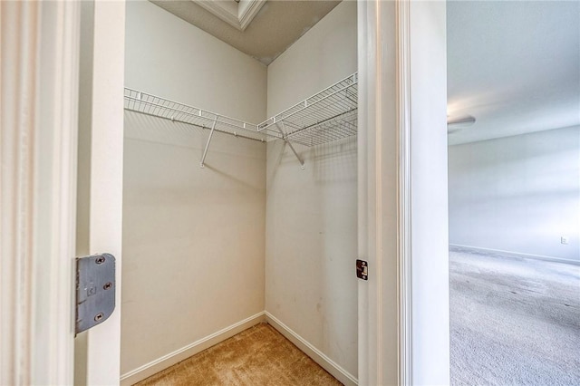 102 Bridal Ln, North Fayette, PA 15071 - walk in closet featuring carpet flooring