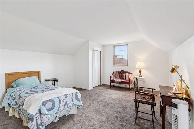 221 Scott Hollow Rd, Pa, PA 15021 - bedroom with carpet flooring, vaulted ceiling, and a closet