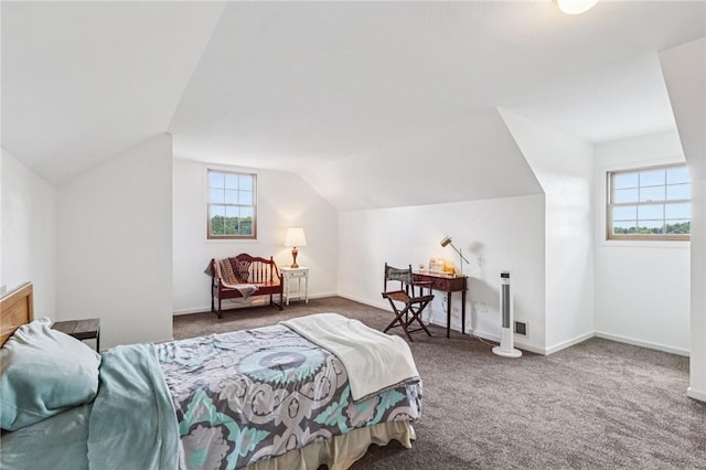 221 Scott Hollow Rd, Pa, PA 15021 - bedroom with carpet and vaulted ceiling