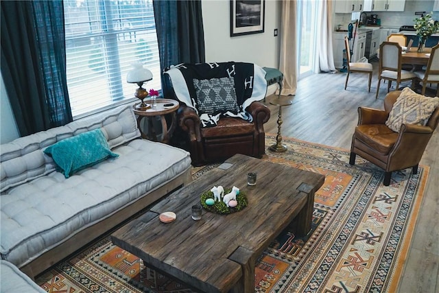 1053 Beaner Hollow Rd, Brighton Twp, PA 15009 - living room with light wood-style flooring and plenty of natural light