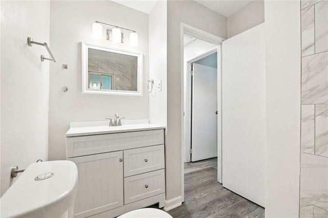 1014 Deerfield Dr, Elizabeth Twp/Boro, PA 15037 - bathroom with vanity and wood finished floors