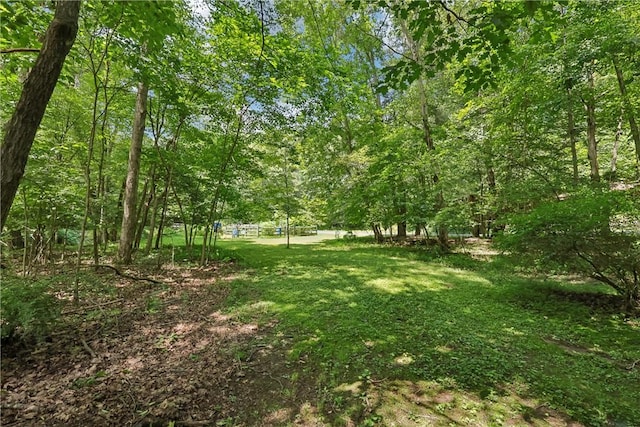 1255 Stitts Run Rd, Parks Twp, PA 15690 - photo 41