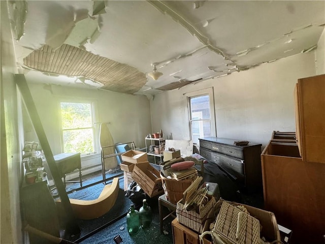 706 Lincoln St, Monongahela, PA 15063 - miscellaneous room featuring healthy amount of natural light
