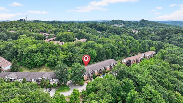 2011 Thornberry Dr, Ross Twp, PA 15237 - bird's eye view of a forest