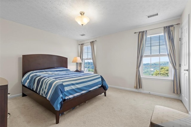 304 Horizon Dr, Monroeville, PA 15146 - bedroom with multiple windows, a textured ceiling, and carpet floors