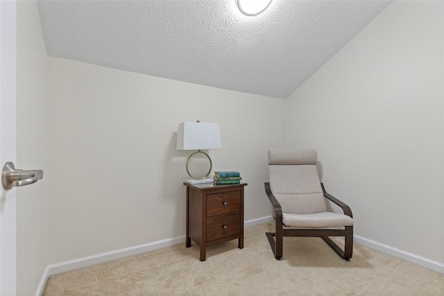 304 Horizon Dr, Monroeville, PA 15146 - sitting room with lofted ceiling, carpet floors, and a textured ceiling