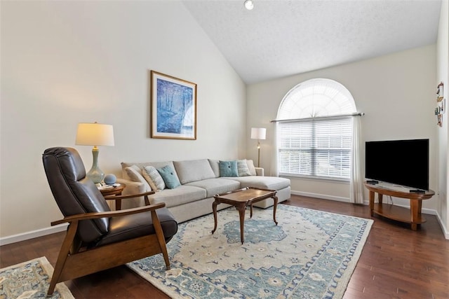 304 Horizon Dr, Monroeville, PA 15146 - living area with lofted ceiling, dark wood finished floors, and a textured ceiling