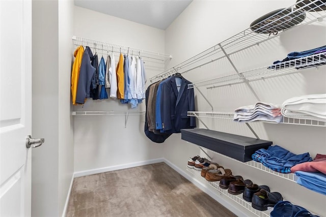 304 Horizon Dr, Monroeville, PA 15146 - walk in closet featuring carpet