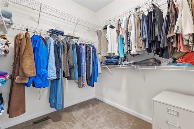 304 Horizon Dr, Monroeville, PA 15146 - walk in closet with carpet