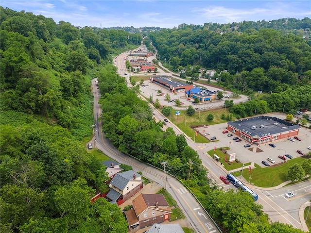 107 Imogene Rd, Greenfield, PA 15217 - aerial view of a forest