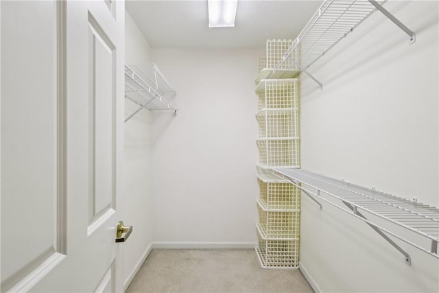 166 Steeplechase Cir, West Deer, PA 15044 - walk in closet with carpet
