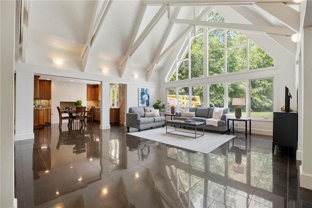 143 N Dr, Fox Chapel, PA 15238 - living area with high vaulted ceiling, granite tiled floors, beam ceiling, and plenty of natural light