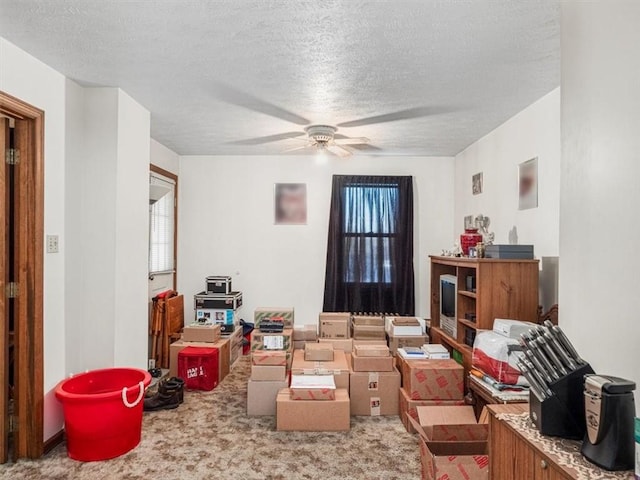 109 Ella St, Mckees Rocks, PA 15136 - carpeted living room with a textured ceiling and a ceiling fan