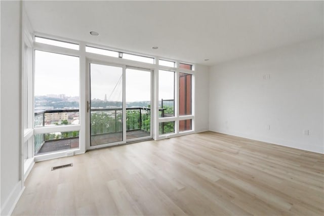 2613 Stella St, South Side, PA 15203 - spare room featuring healthy amount of natural light, light wood-style flooring, and a wall of windows