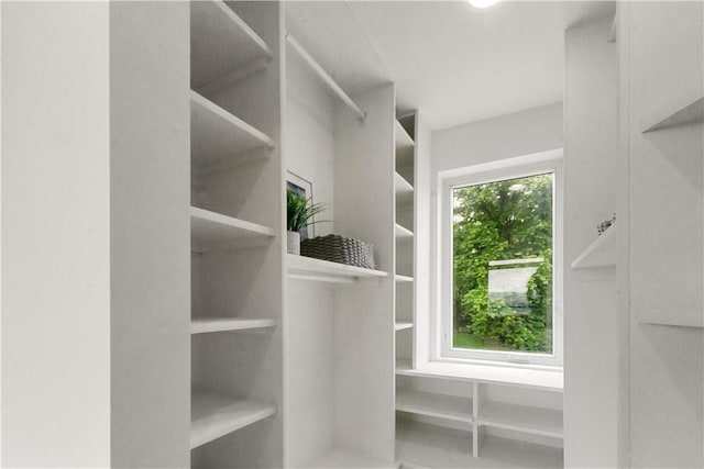 2613 Stella St, South Side, PA 15203 - view of spacious closet