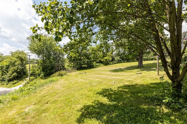 1345 N Tower Rd, Perry Twp, PA 16123 - view of green lawn featuring view of scattered trees