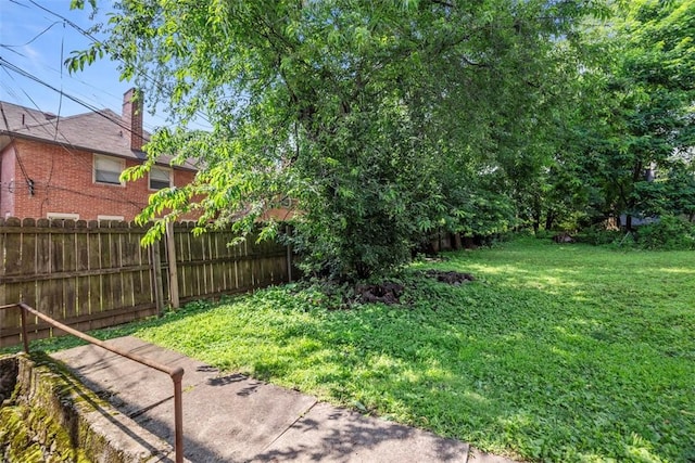 5671 Beacon St, Squirrel Hill, PA 15217 - view of yard